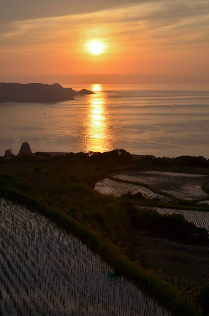 東後畑棚田2022　6月-3　サンロード