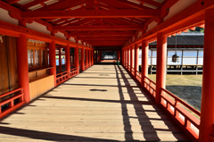 厳島神社2020　10月　午後の廻廊