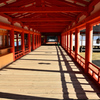 厳島神社2020　10月　午後の廻廊