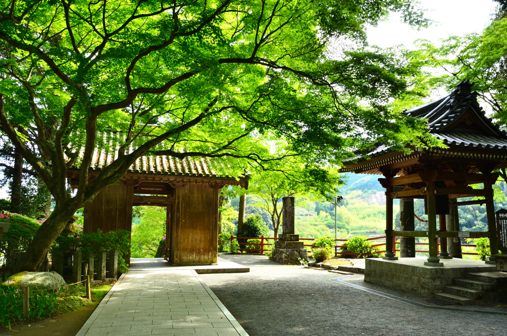 大興善寺2021　4月-1　山門と鐘楼