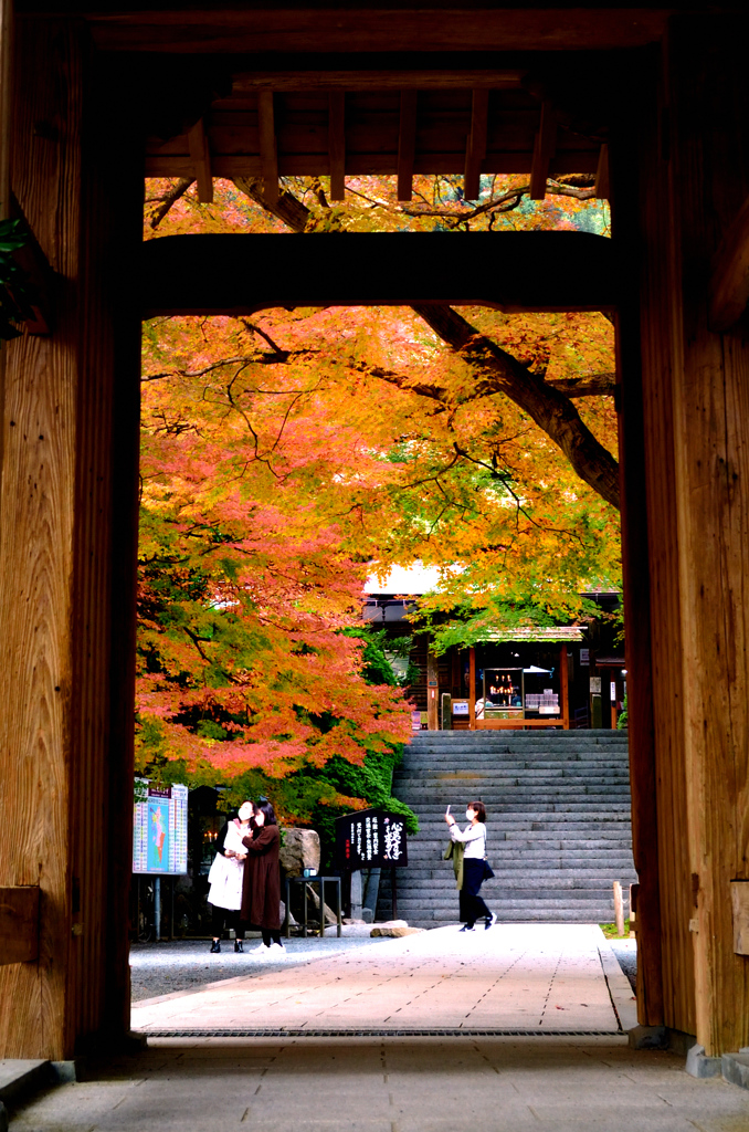 大興善寺2021　11月-3　山門より本堂