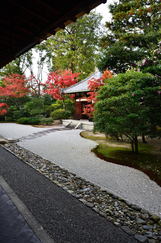 建仁寺2018　方丈北側