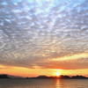 海の中道2020 1月-1　糸島半島　夕陽とウロコ雲