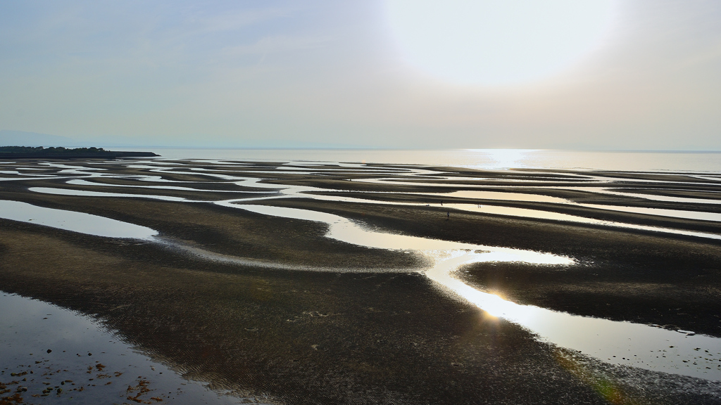 真玉海岸2023　干潟②