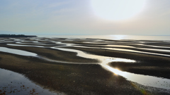 真玉海岸2023　干潟②