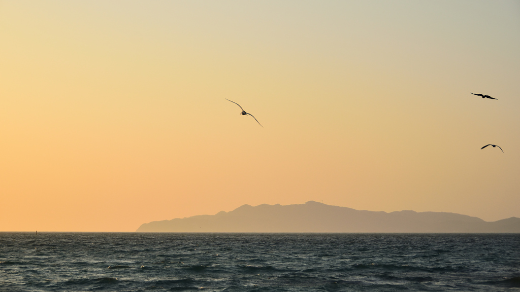 鐘岬2021　2月-4　大島の夕景