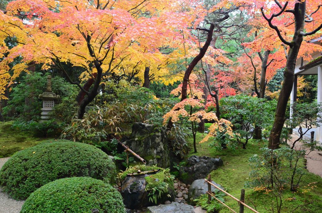 足立美術館2017　日本庭園5