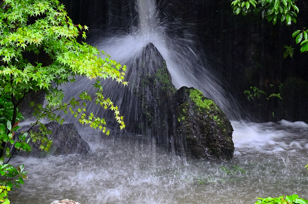 雨の金閣寺　龍門滝