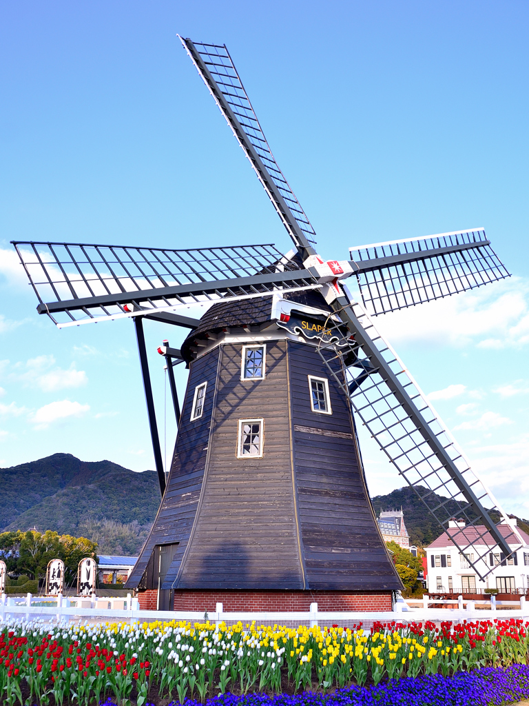 ハウステンボス2023 2月-03　風車と花壇