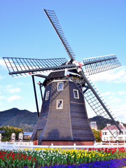 ハウステンボス2023 2月-03　風車と花壇