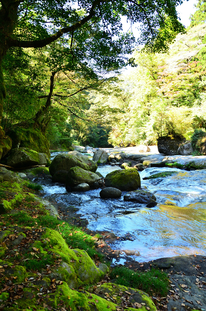 菊池渓谷2020　10月-4　広河原③