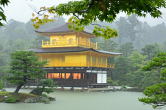 京都2022　7月　雨の金閣寺②