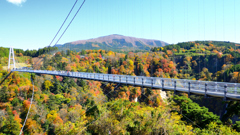 九重夢大吊橋2020　秋-3　大吊橋と紅葉