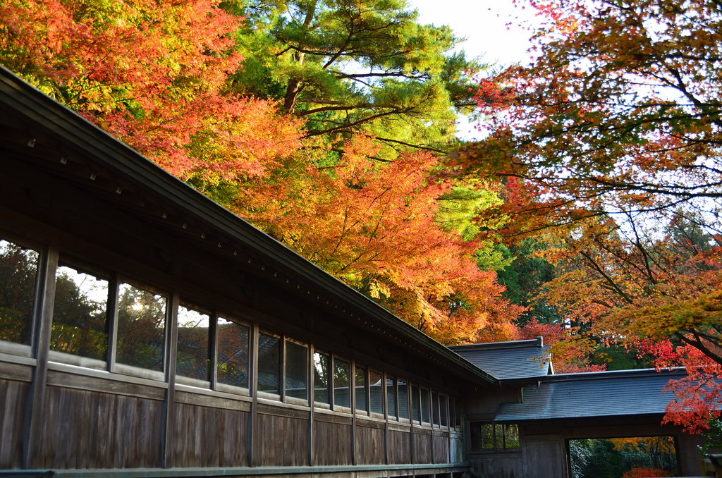 呑山観音寺2020　11月-2　客殿渡り廊下