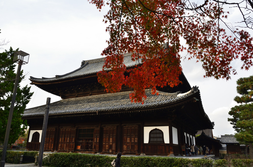 建仁寺2018　法堂