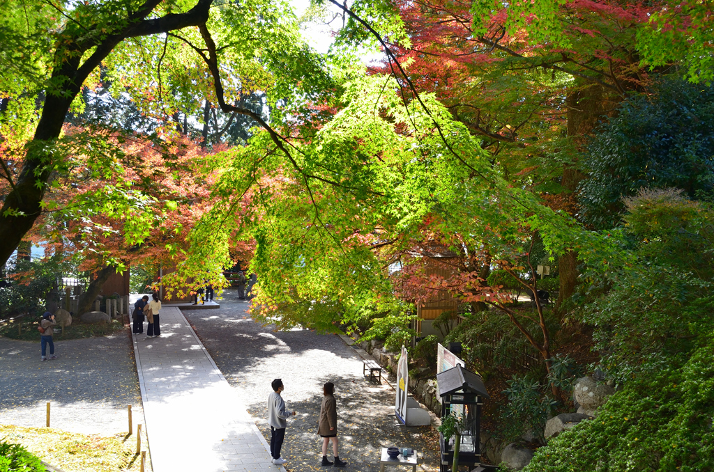 大興善寺2022　11月-1　紅葉と境内