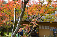 九年庵2019-1　玄関