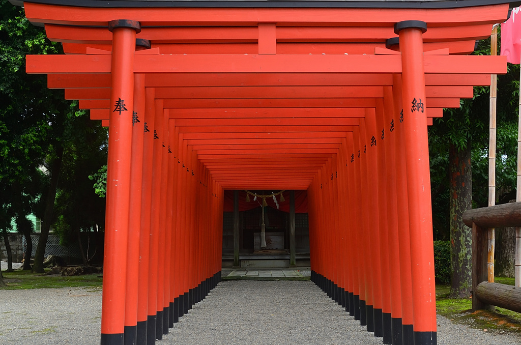 成趣園2020　7月-5　稲荷神社　鳥居