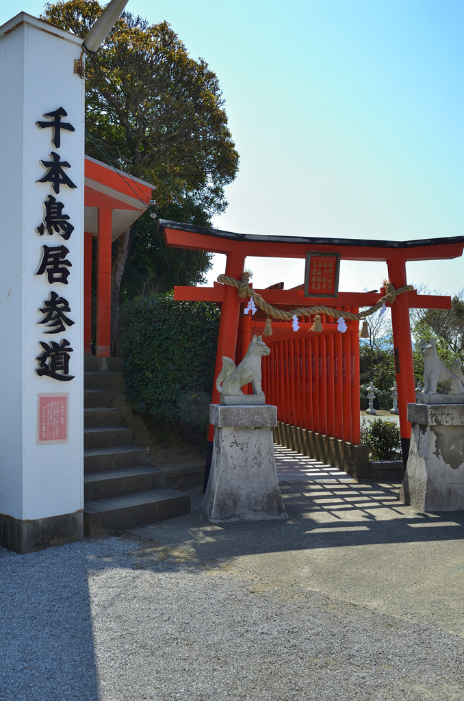 福徳稲荷神社2020　3月-2　奥の院参道