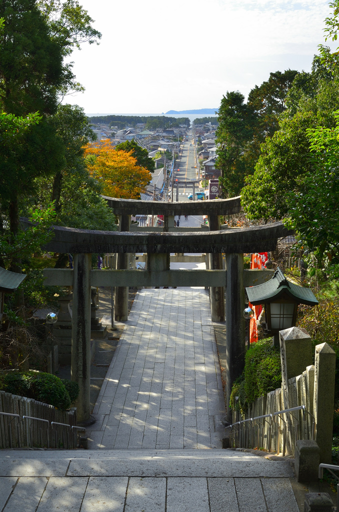 宮地嶽神社2019-1　秋　光の道