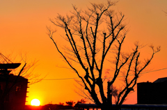 門司港2022　冬の黄昏①