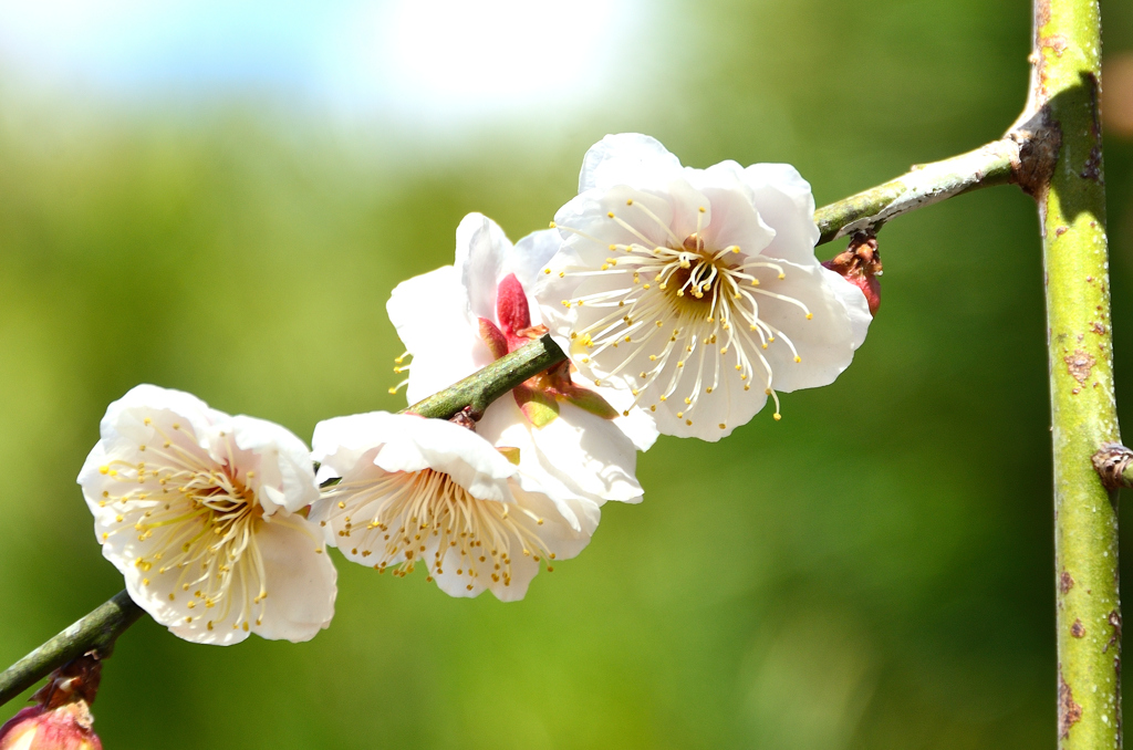 農事センター2022　2月-02　陽だまり②