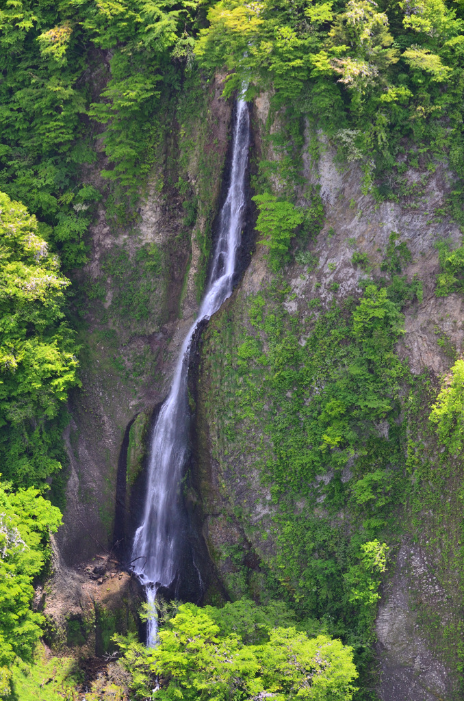 九重夢大吊橋2019-2　雌滝