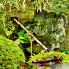 足立美術館2020　11月-2　日本庭園　手水鉢②