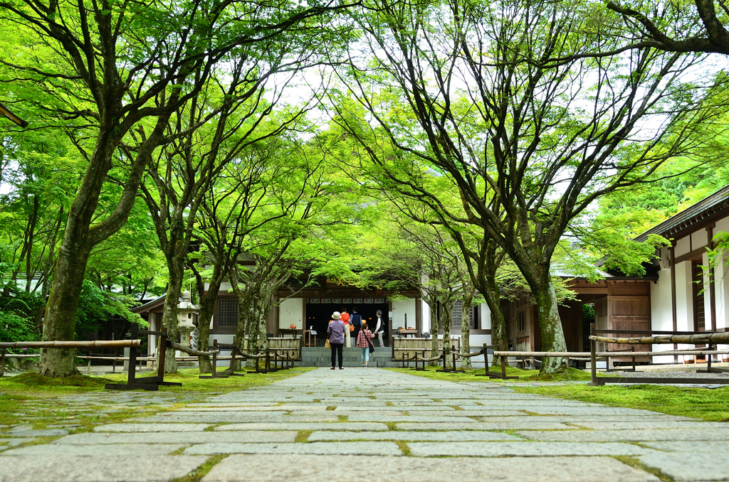 呑山観音寺2021　6月-5　天王院　参道③