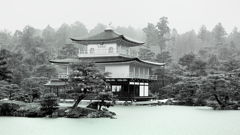 京都2022　金閣寺　雨の舎利殿①