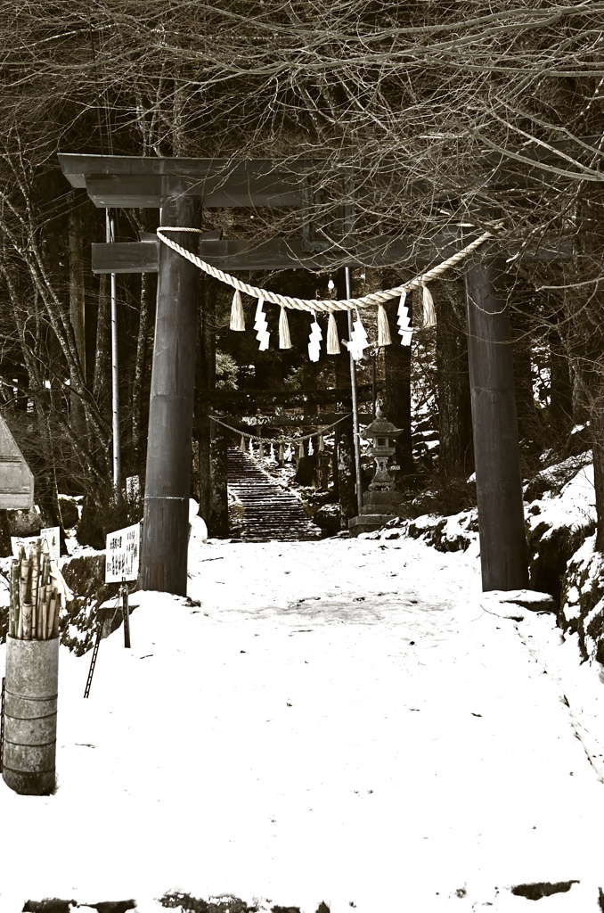 高住神社2022　2月-1　銅製鳥居