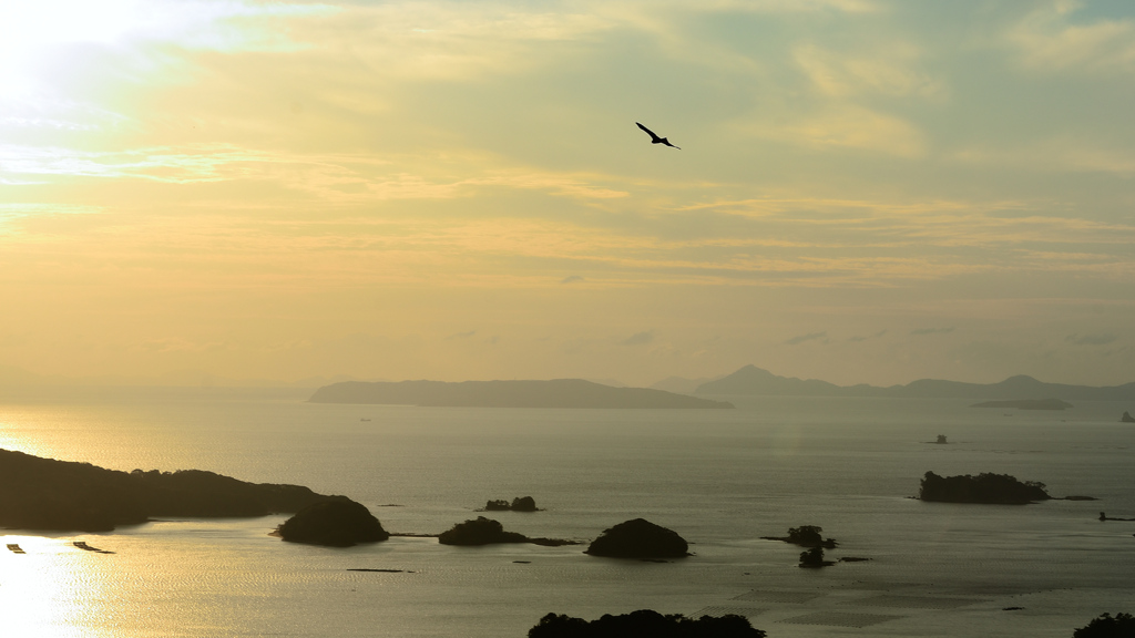 九十九島2020　9月　展海峰-2　鳥＆夕景1①