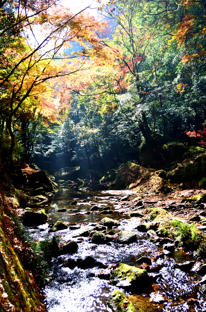 深耶馬渓2022　11月-3　山移川と陽光