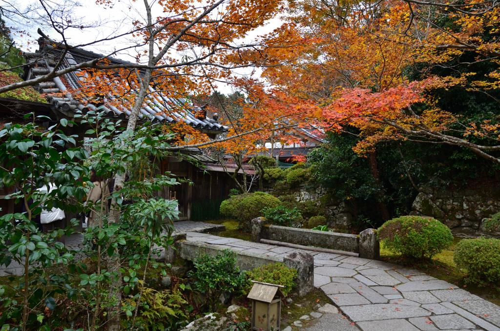 宝泉院2018-1　門