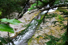菊池渓谷2022-3　新緑の四十三万滝