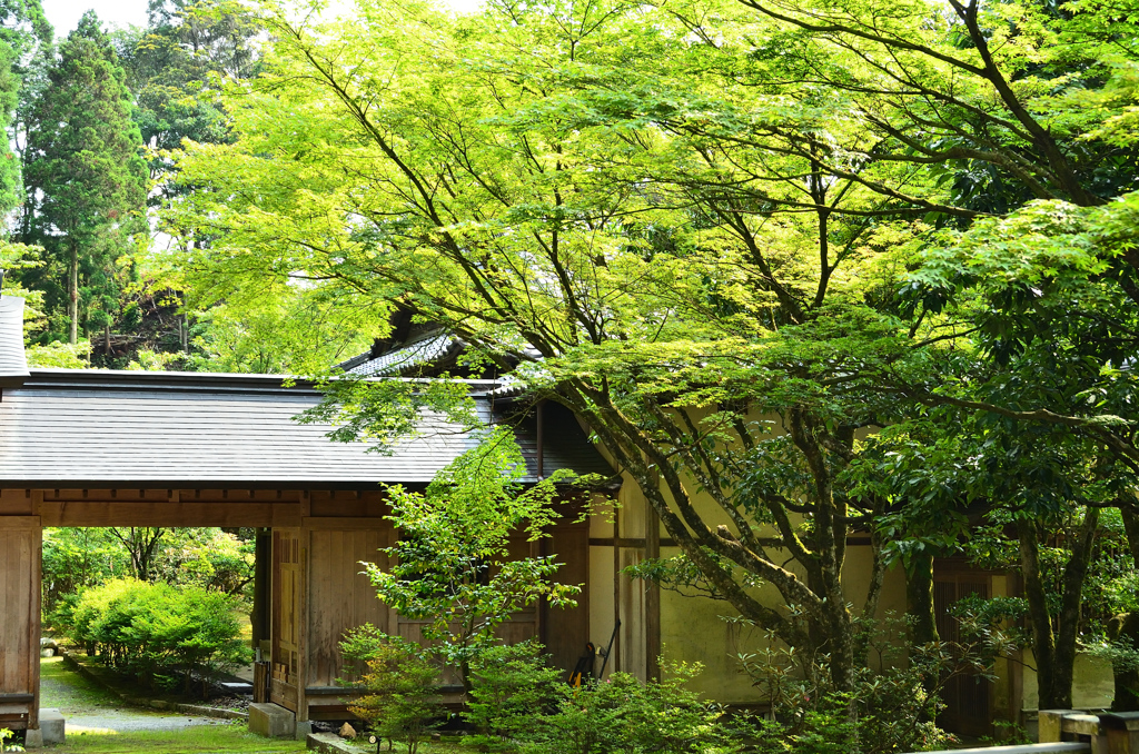 呑山観音寺2021　6月-3　茶室　門