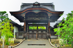 仁和寺2022　7月　雨の勅使門