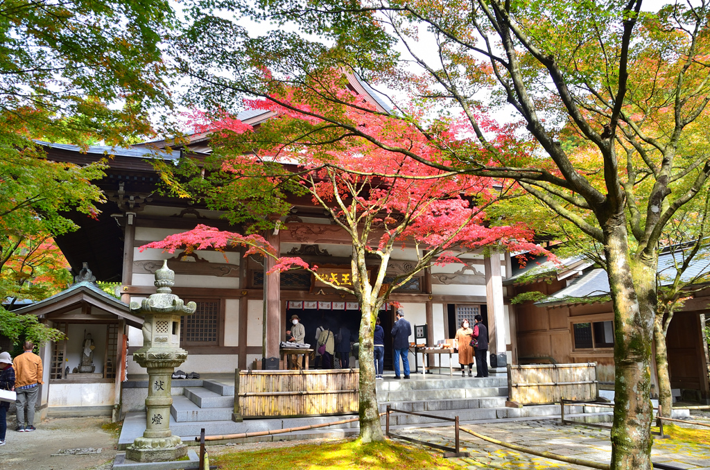 呑山観音寺2021　11月-1　天王院本堂