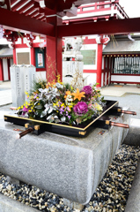 篠崎八幡神社2021　1月　手水舎