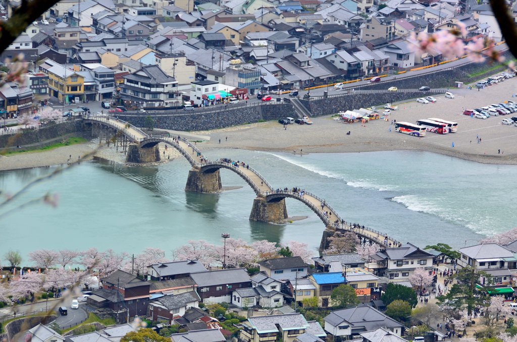岩国城2024　4月-01　錦帯橋①