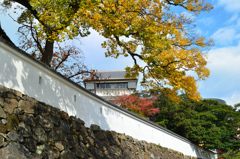 小倉城2021　秋の白塀