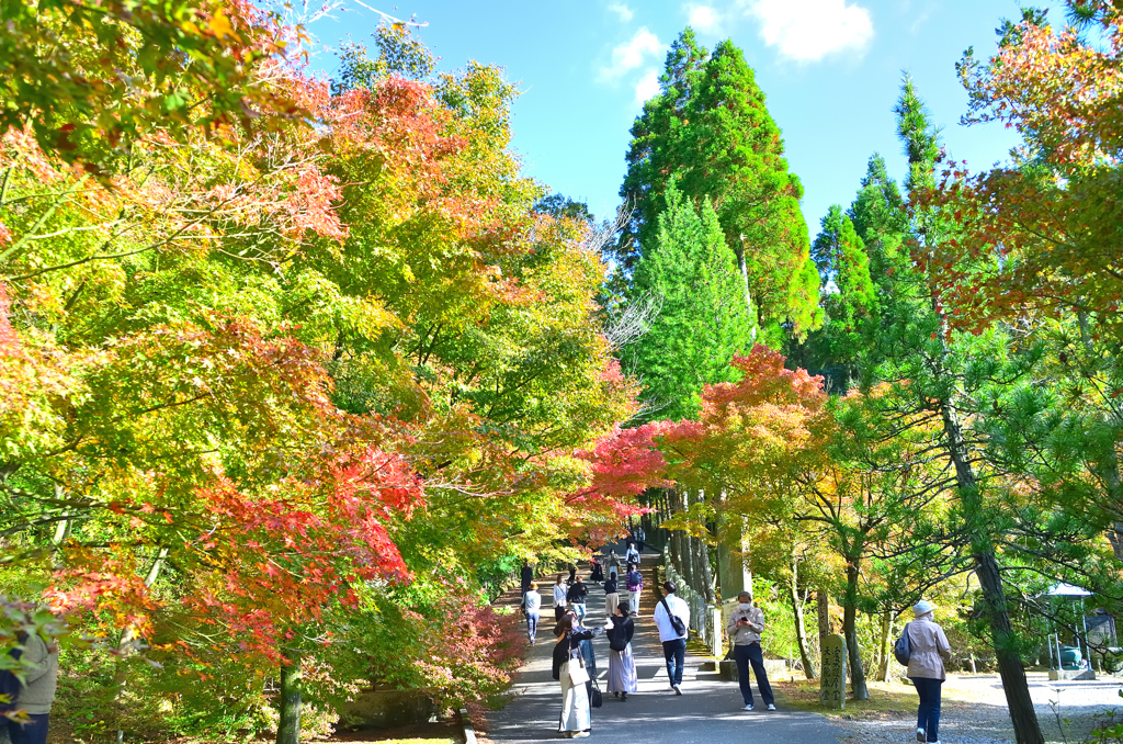呑山観音寺2022　10月-5　天王院参道①