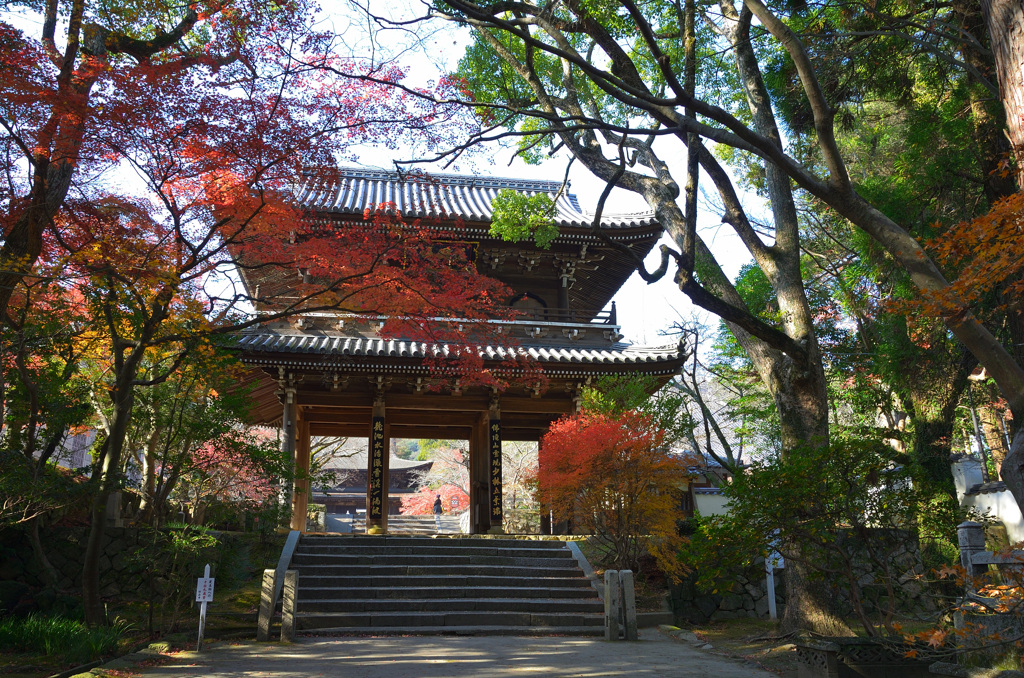 功山寺2019-2　12月　山門