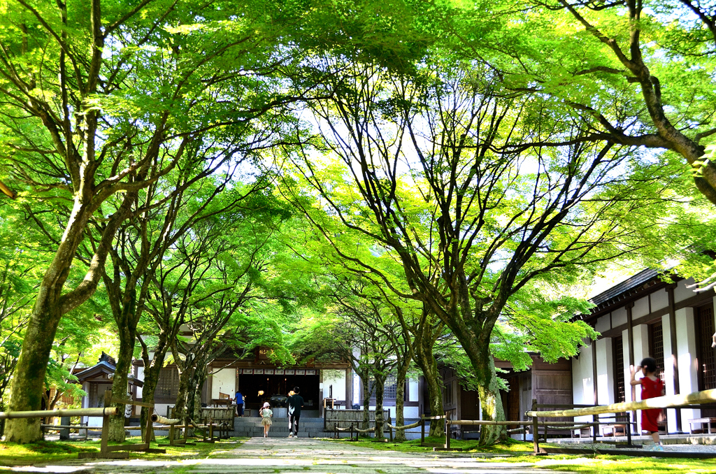 呑山観音寺2023　6月-1　天王院　参道①