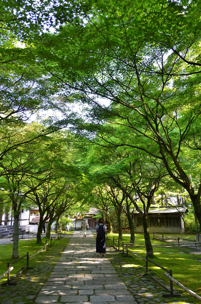 呑山観音寺2023　6月-1　天王院　参道②