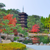 瑠璃光寺2020　11月-2　五重塔と庭園