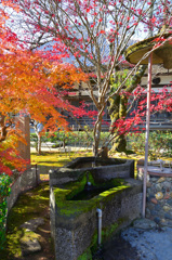 功山寺2019-3　12月　手水鉢