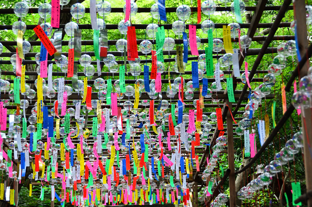如意輪寺2020　7月-4　参道＆風鈴①