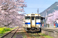 採銅所駅2022-5　桜とキハ４０系