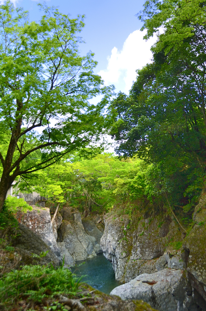 魔林峡2022-1　渓谷①